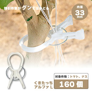 160 At@ L  AL-W160 R p s` p  } s UNbv U U U g}g iX ͔| V[ ^S s