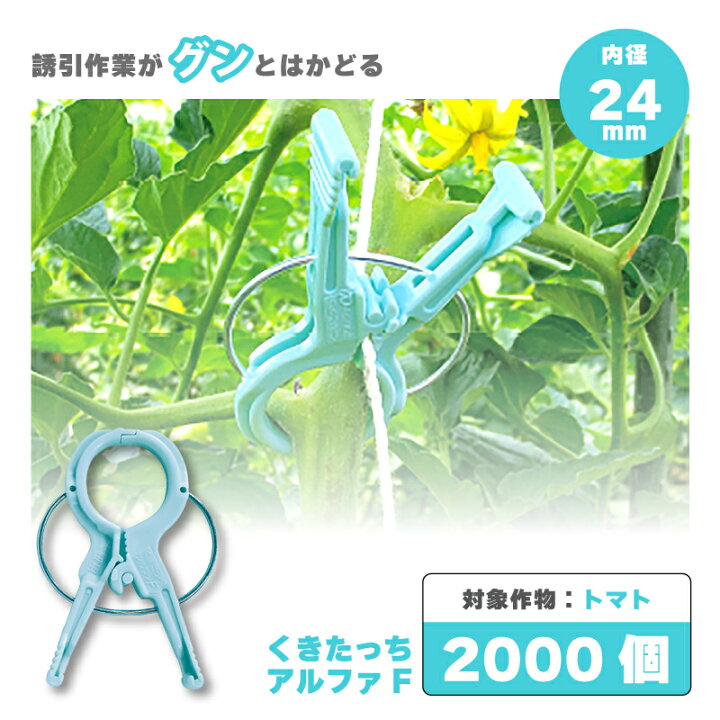 楽天市場】【4/30までエントリーで最大100%Pバック】2000個 (200個×10 