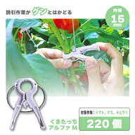 【4/30までエントリーで最大100%Pバック】220個 くきたっちアルファ M パープル 薄紫 AM-P220 細紐用 紐…