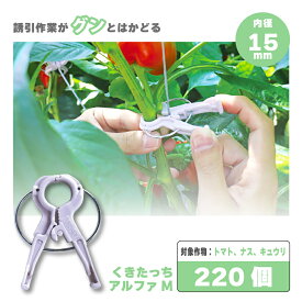 220個 くきたっちアルファ M パープル 薄紫 AM-P220 細紐用 紐誘引クリップ 誘引クリップ 誘引資材 誘引 クリップ トマト ナス キュウリ 栽培 シーム タS DZ