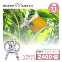 楽天市場】くきたっちの通販