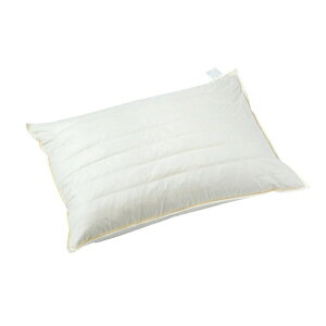 10 tFU[pCv7A HpCv 43×63cm HƃpCv̗ʗp 鉮 s