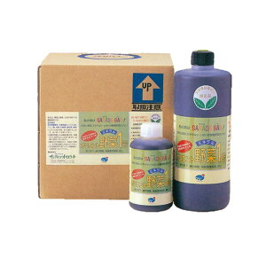 10L×2 IGg1 10L nA~m_ nyt ~l AQ}~ t TO[IGg ^S D