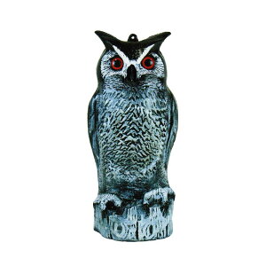 ^CK[ VGj~ ӂ낤 TTN-F2 MƂAȖڂňЊd fRC h Q΍ Qh~  ʎ JX ng nI s