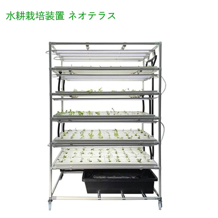 楽天市場】＼組み立てが楽！／ 水耕栽培キット ネオテラス LED一体型 