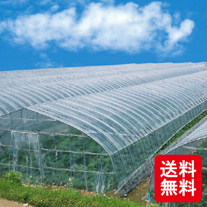 楽天市場】晴天 農ビ 厚さ 0.15mm×幅 300cm×長さ 50m ビニールハウス 