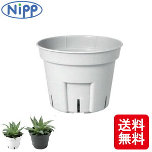 2000 S|bg ی^75  x}Ή |bg  RpNg  A {|̔ ^S lzs s