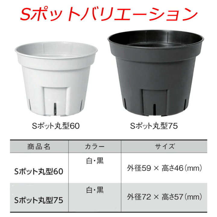 楽天市場】3000個 Sポット 丸型60 白 ラベル挿し対応 日本ポリ鉢販売 