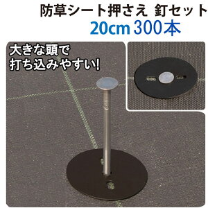 lzs 30 hV[g BZbg 10P 20cm 傫ȓőł݂₷ Bh~ rj[ B s