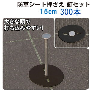 30個 防草シート押さえ 釘セット 10P 15cm 大きな頭で打ち込みやすい 釘抜け防止 第一ビニール 第B 個人宅配送不可 代引不可