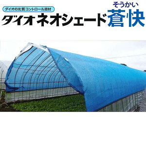 lIVF[h  2m×50m 520SKY Ռ35`40% J~D ق Rg[ CmxbNX u[ TT kCs lzs s