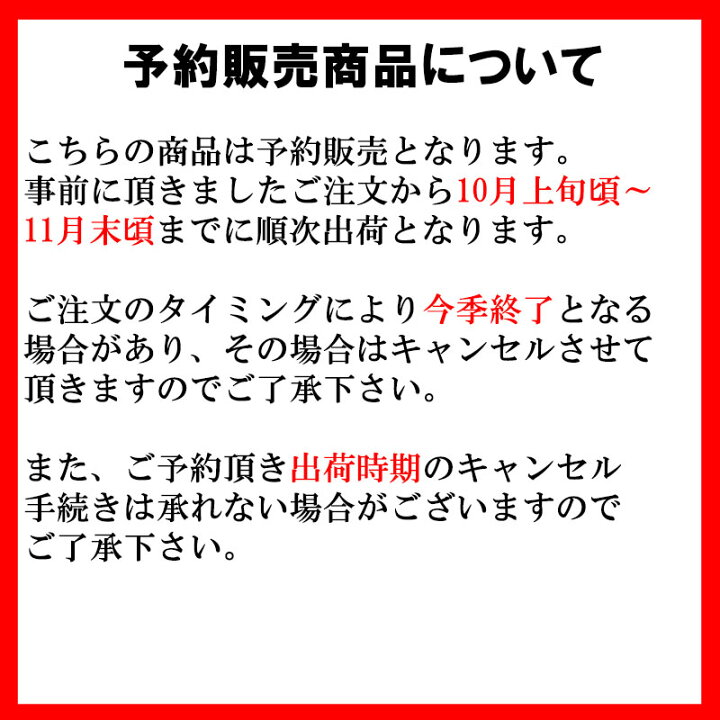 楽天市場 予約販売 ユリ ジャイアントカサブランカ 白 ノバゼンブラ 150球 球周 サイズ18 cm オリエンタル百合原箱 タキイ種苗 球根 花 園芸 ガーデニング 代引不可 プラスワイズ業者用専門店