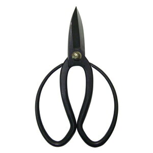 [ A؉͂ 180mm No.226 nT~ OyD lR|X