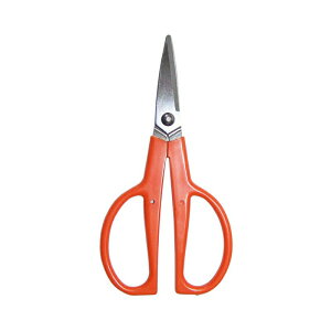 [ W[͂ 150mm No.821 nT~ OyD lR|X