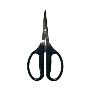 [ NtgnT~ 160mm No.893 nT~ OyD lR|X