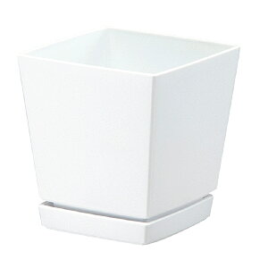 80 NG`[|bg (v[gt) 4 zCg |bg   K[fjO ChA }g ^S lzs s a