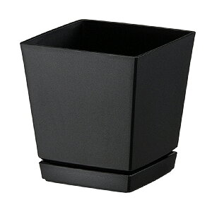 80 NG`[|bg (v[gt) 4 ubN |bg   K[fjO ChA }g ^S lzs s a