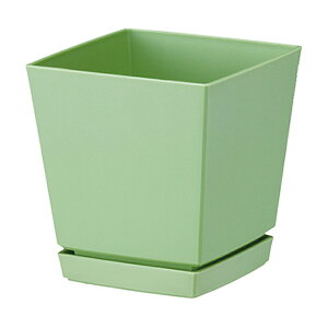 80 NG`[|bg (v[gt) 4 AbVO[ |bg   K[fjO ChA }g ^S lzs s a