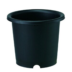 40 e 8 ubN |bg  ep p }g ^S lzs s a