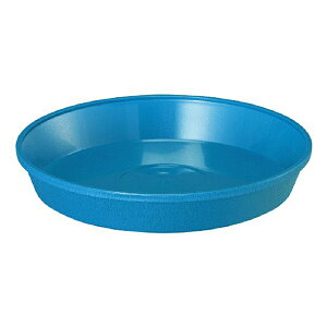 120 MT[ 4 u[ |bg  FXȃJ[ lXȃTCY }g ^S lzs s a