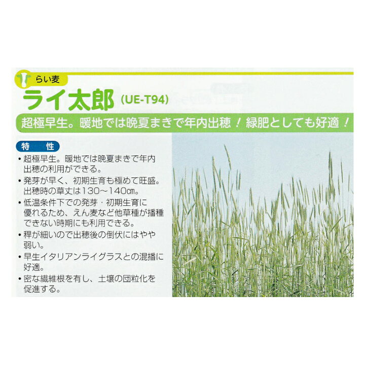 楽天市場 種 1kg らい麦 ライ太郎 らい麦 秋まき主体 酪農 畜産 緑肥 牧草 タキイ種苗 米s 代引不可 プラスワイズ業者用専門店