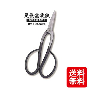 [ ~ zTO OCXt  1019  S 200mm O zTO  c{^ nT~ ͂ JS D