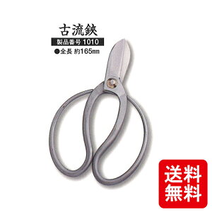 [ × zTO XeX |t 1010  S 165mm O zTO  c{^  nT~ ͂ JS D