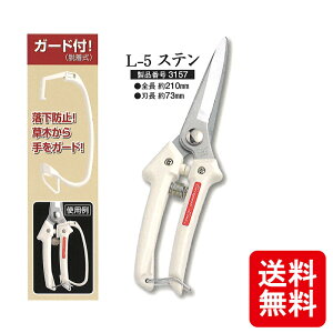 [ L-5 Xe [sAC K[ht  S 210mm O zTO  c{^  nT~ XeX ͂ JS DZ