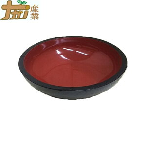 tFm[ ˔ ڎlTCY 42cm ϔM ㎿  ł {E iKmY s