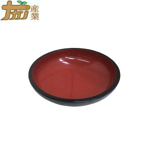 tFm[ ˔ ڌ܃TCY 45cm ϔM ㎿  ł {E iKmY s