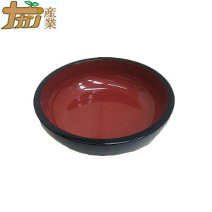 ABS ˔ ڃTCY 30cm ϏՌ  ł {E iKmY s