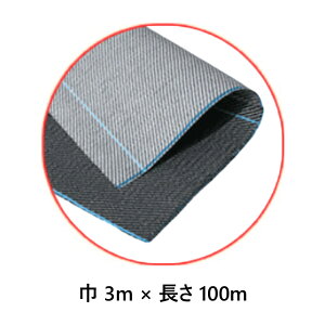 h AOV[gR BW2415 3m×100m {ChNX hV[g ړI ʂ D͂ ~ G _   ^S lzs s