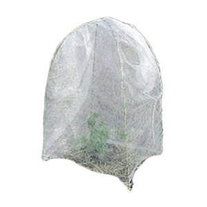 ۉLbv eNeNlILbv 300 ^LCc 60×60cm h h h ΍  i _ |  kCs lzs s