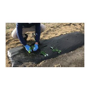 _Ɨprj[ ؉pTc}C}` 10{ ^LCc Xbg A ΂ߐA  G h~ _ |  lzs s