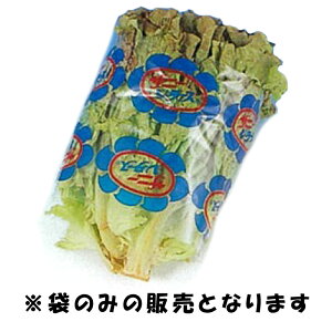 OPP hܑ Tj[^X CP DP-6 10000  DPobNV[Y  245mm×165mm Nx ێ i ^S s lzs