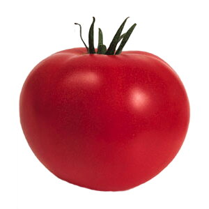  ʃg}g z[Y 45×3 ^LCc t܂ ܂ d q   ͔| ƒ؉ i S D [ (o^i햼:z[Y)