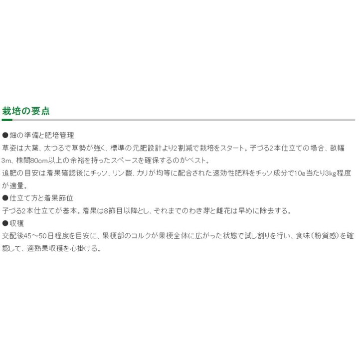 楽天市場】種 カボチャ ロロン 8粒 × 3袋 タキイ種苗 春まき 種まき 播き 種子 野菜 畑 栽培 家庭菜園 品種 米S D メール便 : プラスワイズ業者用専門店 楽天市場】種 カボチャ ロロン 8粒 × 3袋 タキイ種苗 春まき 種まき 播き 種子 野菜 畑 栽培 家庭菜園 品種 米S D メール便 : プラスワイズ業者用専門店