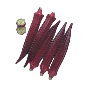  IN xj[ 115×3 ^LCc t܂ ܂ d q   ͔| ƒ؉ i S D [ (o^i햼:xj[)