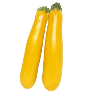 春 野菜 苗 種の人気商品 通販 価格比較 価格 Com