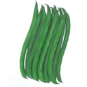  ȂCQ ݂ǂ2 50.0ml×3 ^LCc t܂ ܂ q   ͔| ƒ؉ i S D [ (o^i햼:݂ǂ)