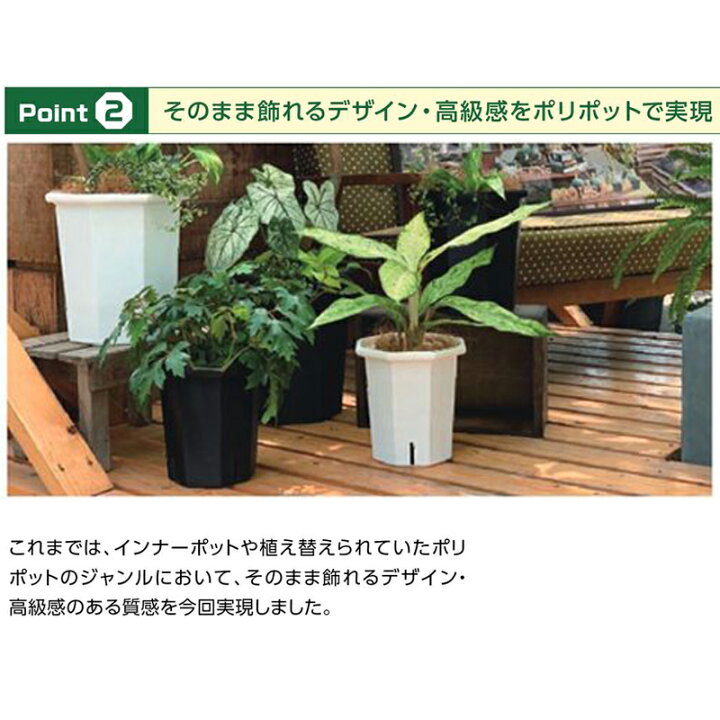 楽天市場】96個 ポリゴン PG-240 黒 日本ポリ鉢販売 直径240×240 