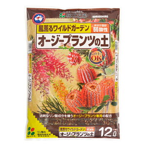 4 |{y I[W[vc̓y 12L Ԃ ԋʓy z | ؉ K[fjO c 琬 ^S lzs s