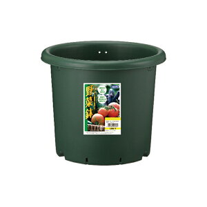 24 30^ O[ ؔ |bg   AbvEFA[ ^S lzs s