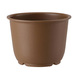 60 6   ֌^ |bg   AbvEFA[ ^S lzs s