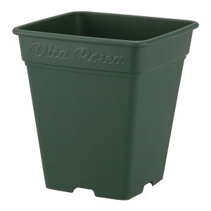 12 390^ O[ [AXNGA |bg   AbvEFA[ ^S lzs s