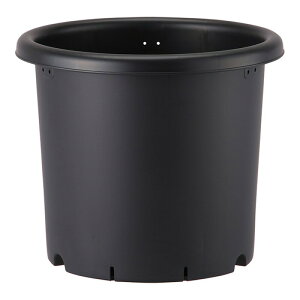 48 7 ubN e |bg   AbvEFA[ ^S lzs s