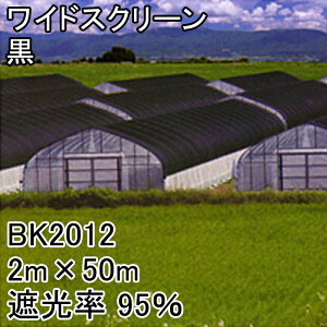 2m×50m  Ռ95 ChXN[ Ռlbg BK2012  {ChNX ^S lzs s