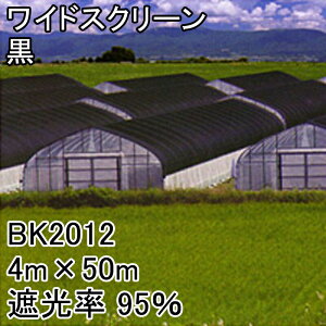 4m×50m  Ռ95 ChXN[ Ռlbg BK2012  {ChNX ^S lzs s