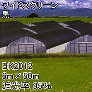 6m×50m  Ռ95 ChXN[ Ռlbg BK2012  {ChNX ^S lzs s