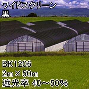 寒冷紗の通販 価格比較 価格 Com